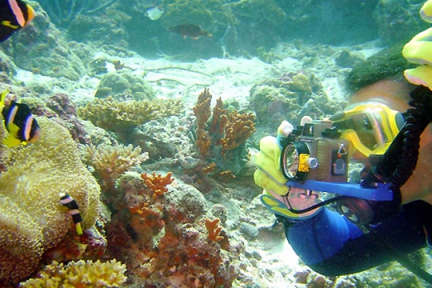 Relax Ocean. Музыка морских глубин