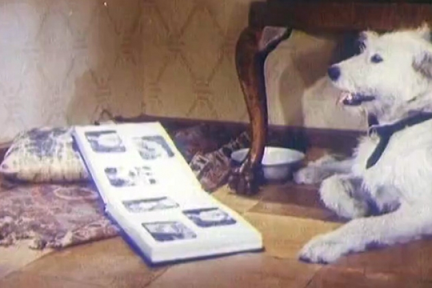 Барбос в гостях у Бобика