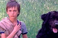 Каждый охотник желает знать...