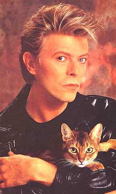   (David Bowie)
