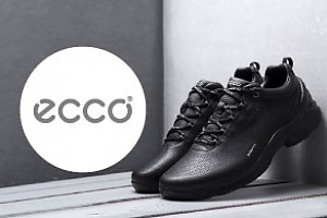 ��������� Ecco