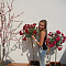 Ирина Куликова