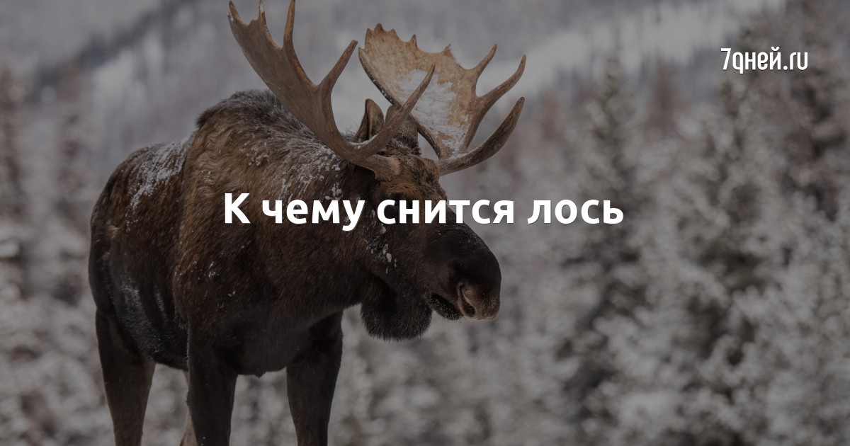 Символ изменений в личной жизни