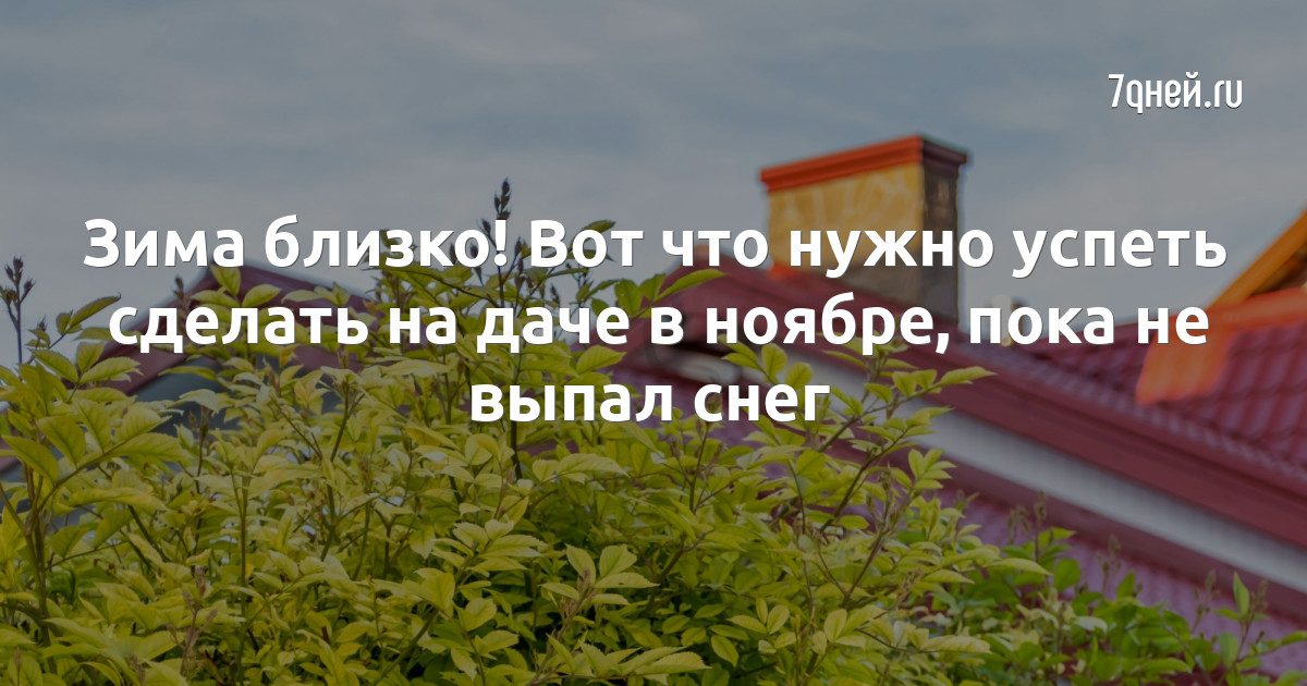 Кралю свою отправь пока на дачу. Кралю свою отправь пока на дачу. Прикольные кошки с надписями. Кралю свою отправь пока на дачу. Про огород прикольные.